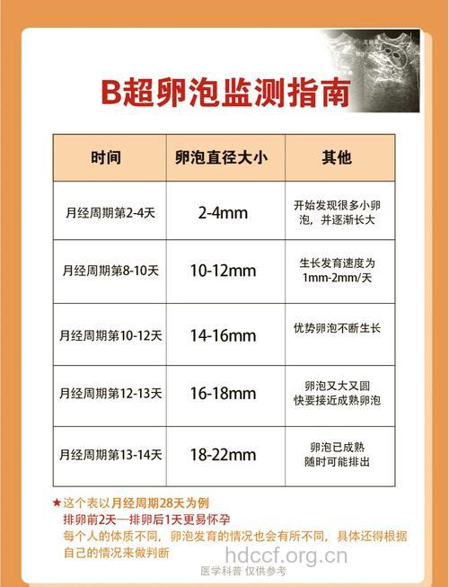 想知道卵泡是否发育正常 就做卵泡监测