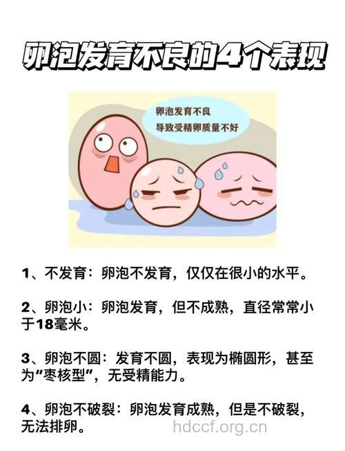 女性的卵泡发育不好难治吗