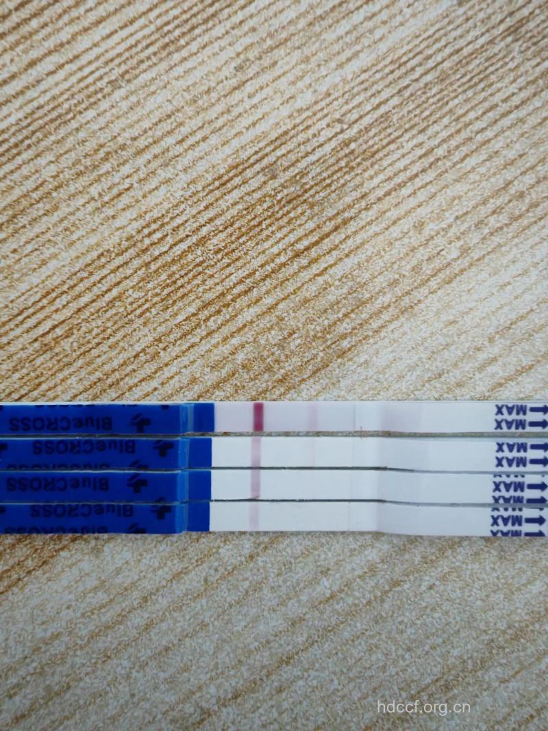 没有测到强阳的我备孕一个月就成功了