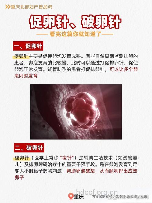 关于卵泡穿刺 这些你所需要知道的