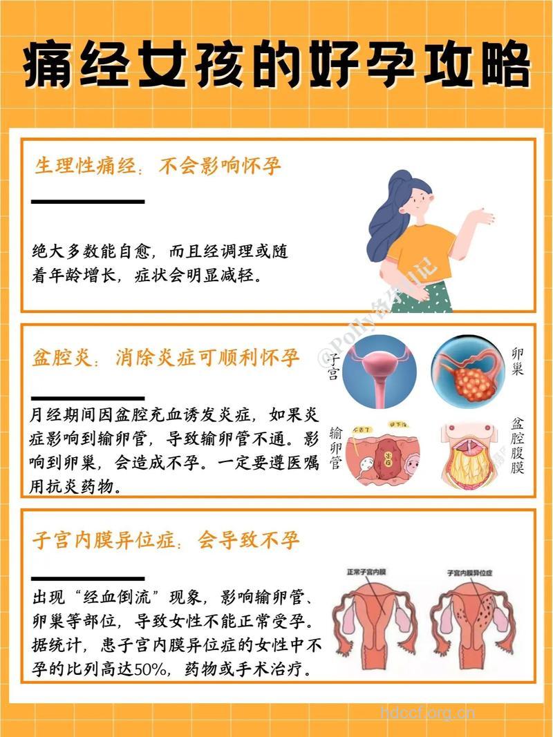 痛经卵泡发育不好怎么备孕 分享备孕成功经验