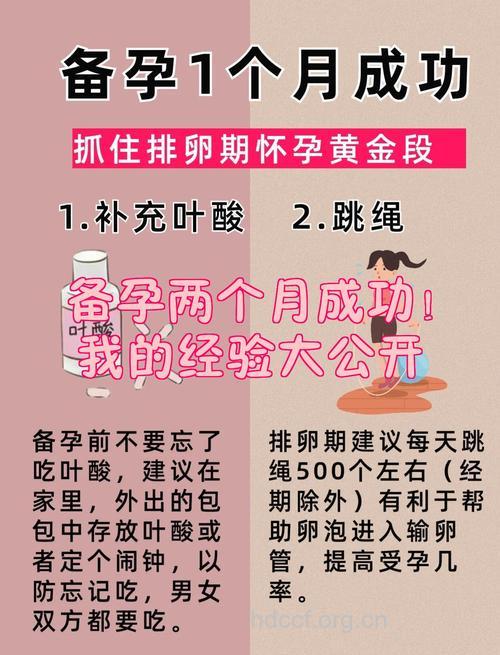 备孕两个月成功经验分享