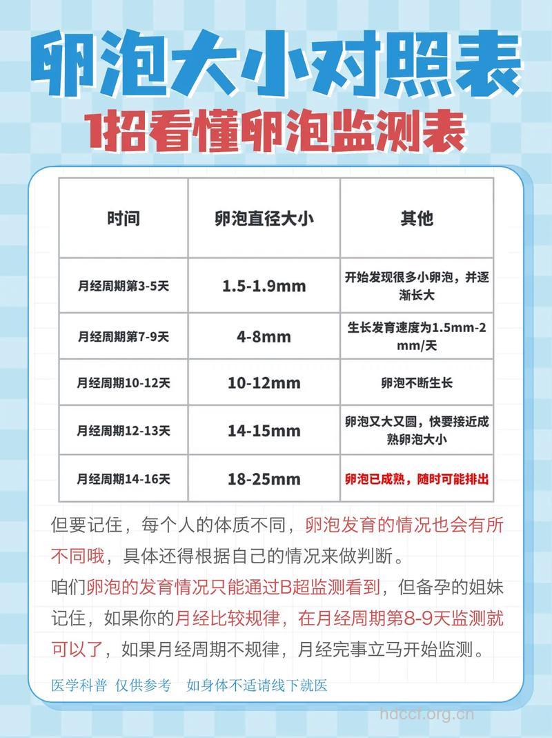 女性多大的卵泡是成熟的