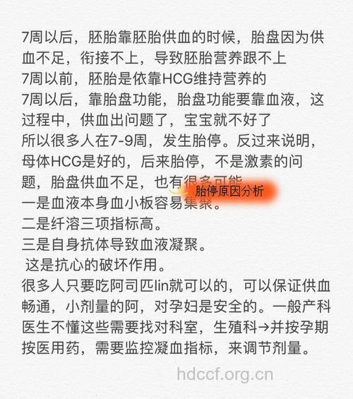 多次胎停成功怀孕 好孕经验总结