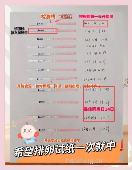 关于排卵期 我的备孕成功经验分享