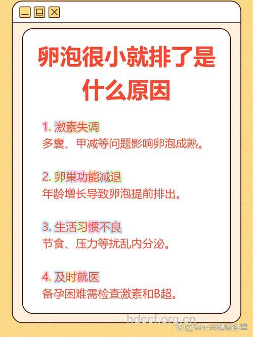 卵泡小是什么原因造成 卵泡小怎么办