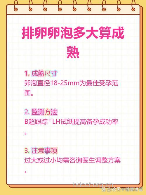 卵泡长到多大会排卵 如何知道有没排卵