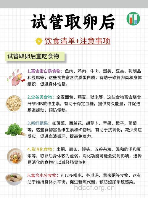 如何提高卵子质量 养成3种健康饮食方式