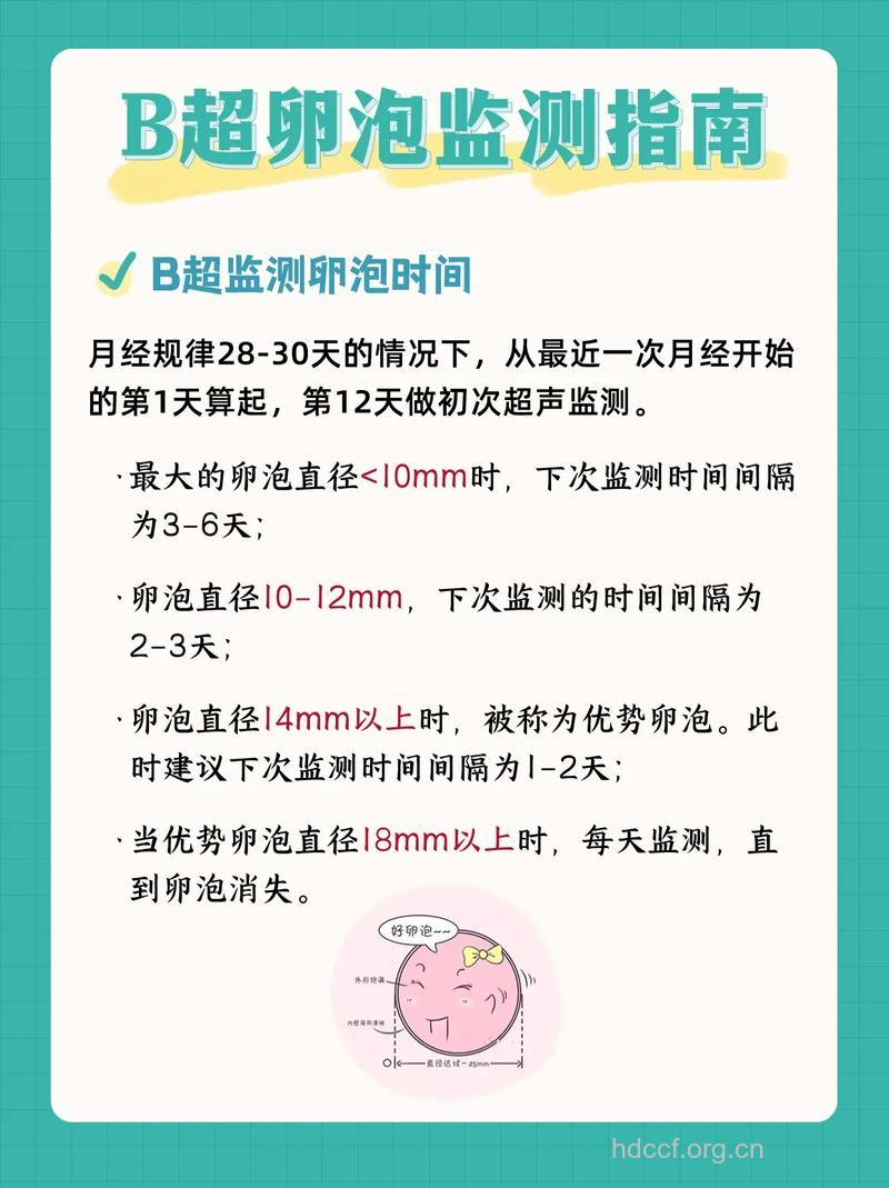 卵泡监测什么时候做 注意事项有哪些