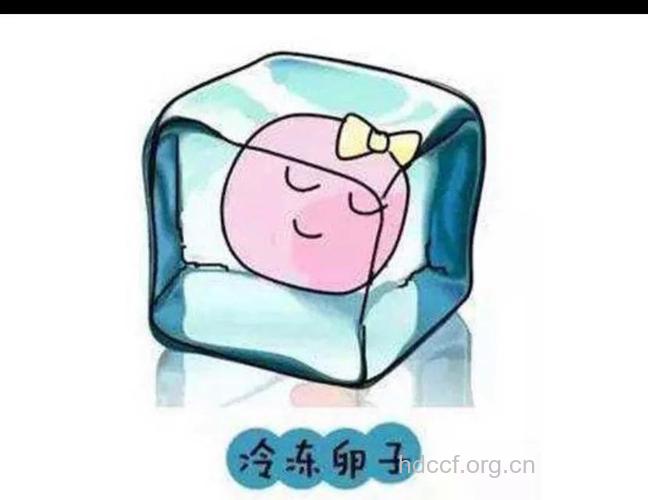 冷冻卵子 5类人群不宜冷冻卵子