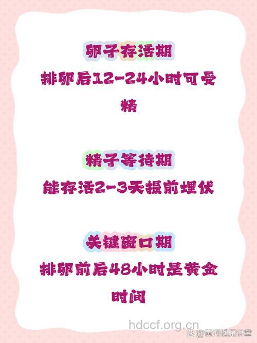 卵子排出后能存活多久 黄金48小时
