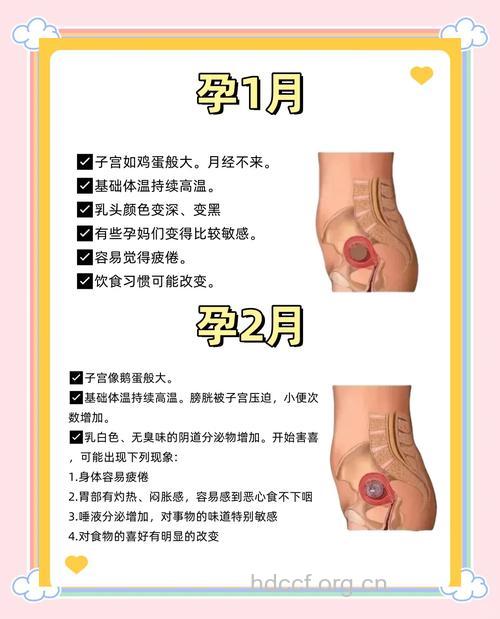 怀孕的征兆有哪些？一起来看看你有没有