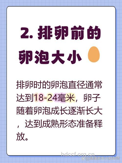 卵泡多大排出 卵泡排出有何感觉