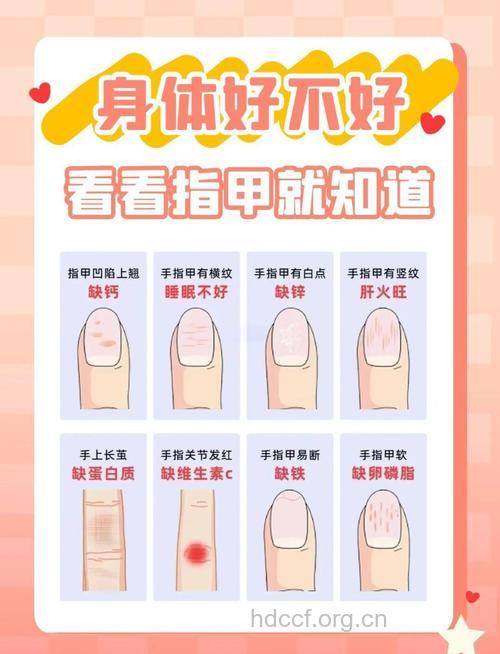 怀孕期间头发和指甲如何变化