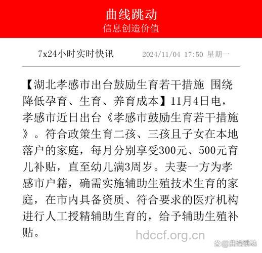 孝感市单独二胎最新政策