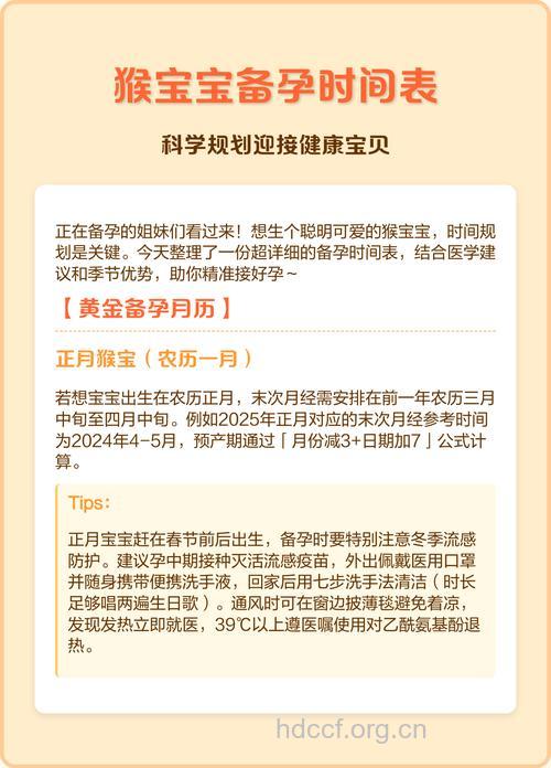 春节前备孕猴宝宝 注意事项须知