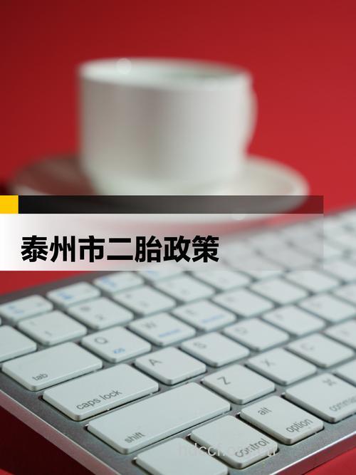 泰州市单独二胎最新政策