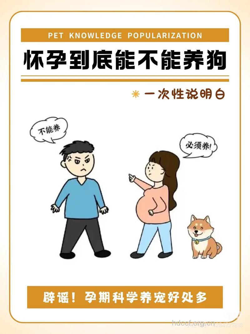 怀孕生娃 宠物还能不能养