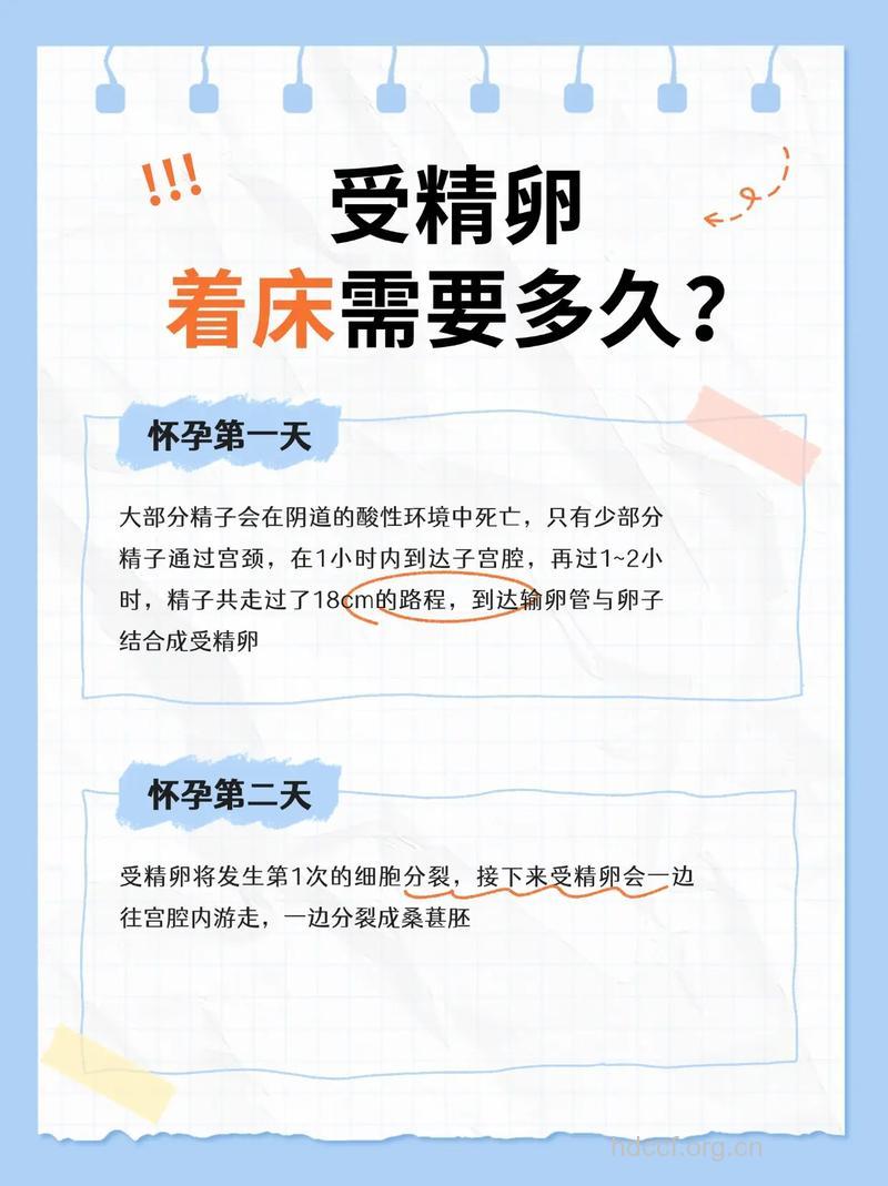 搭配最佳“受精卵”的秘笈分享