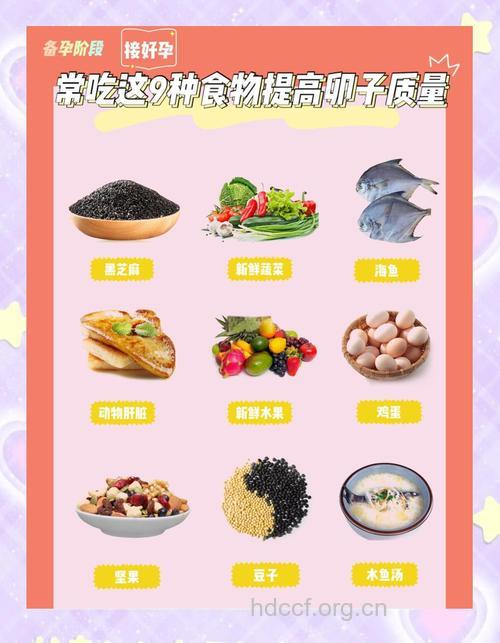 备孕期间吃什么有助排卵