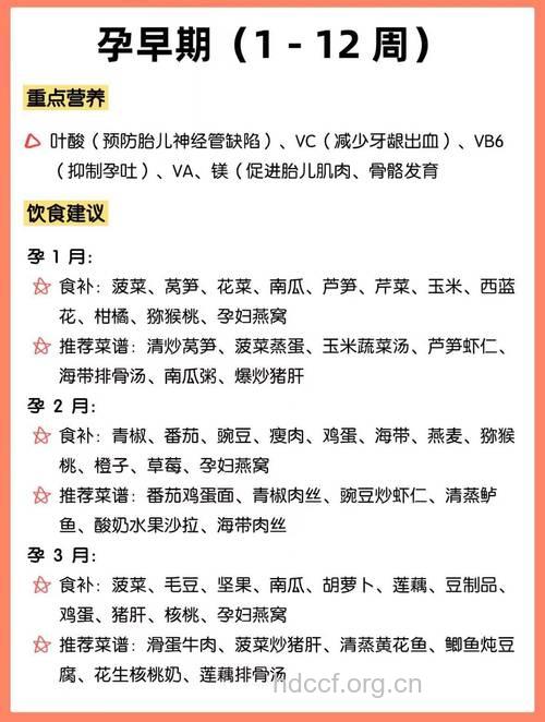 怀孕前几个月需要补充什么营养