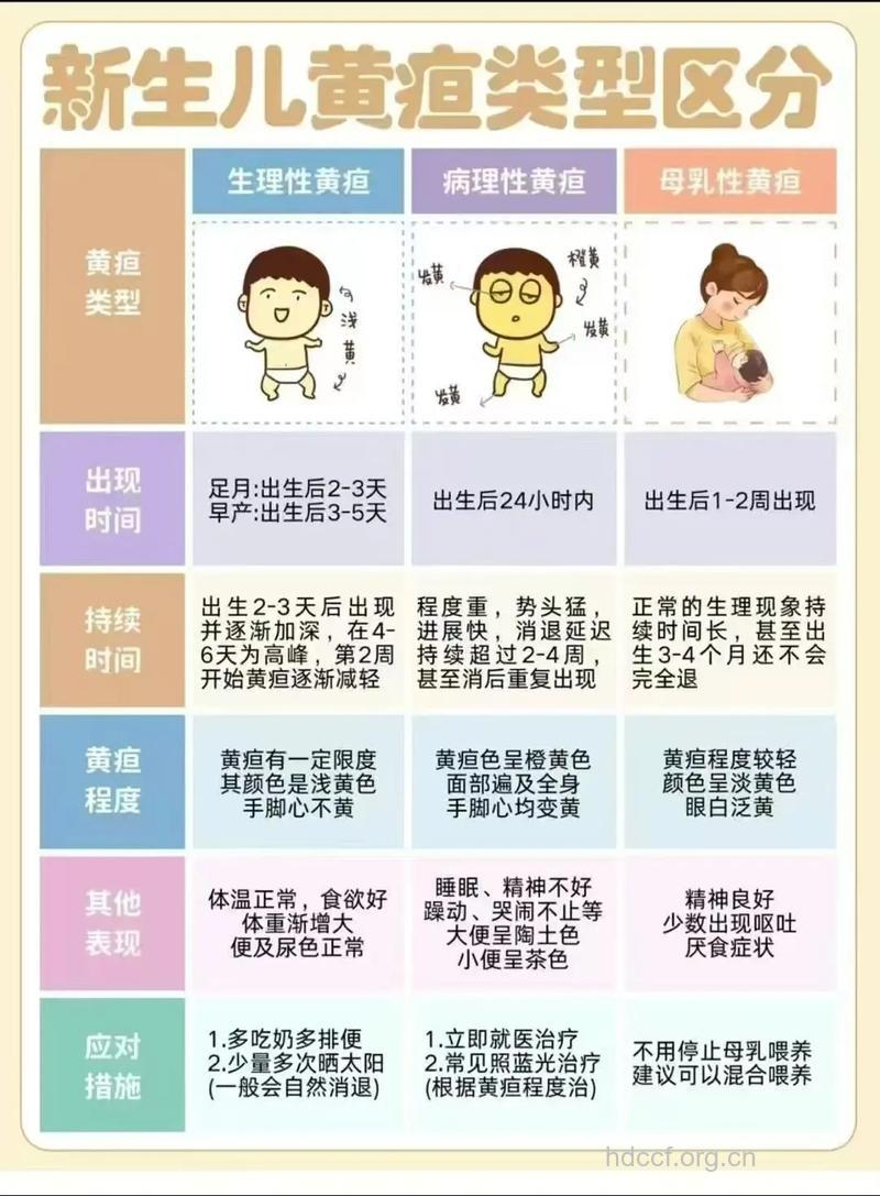 新生儿黄疸缠身　区分生理和病理