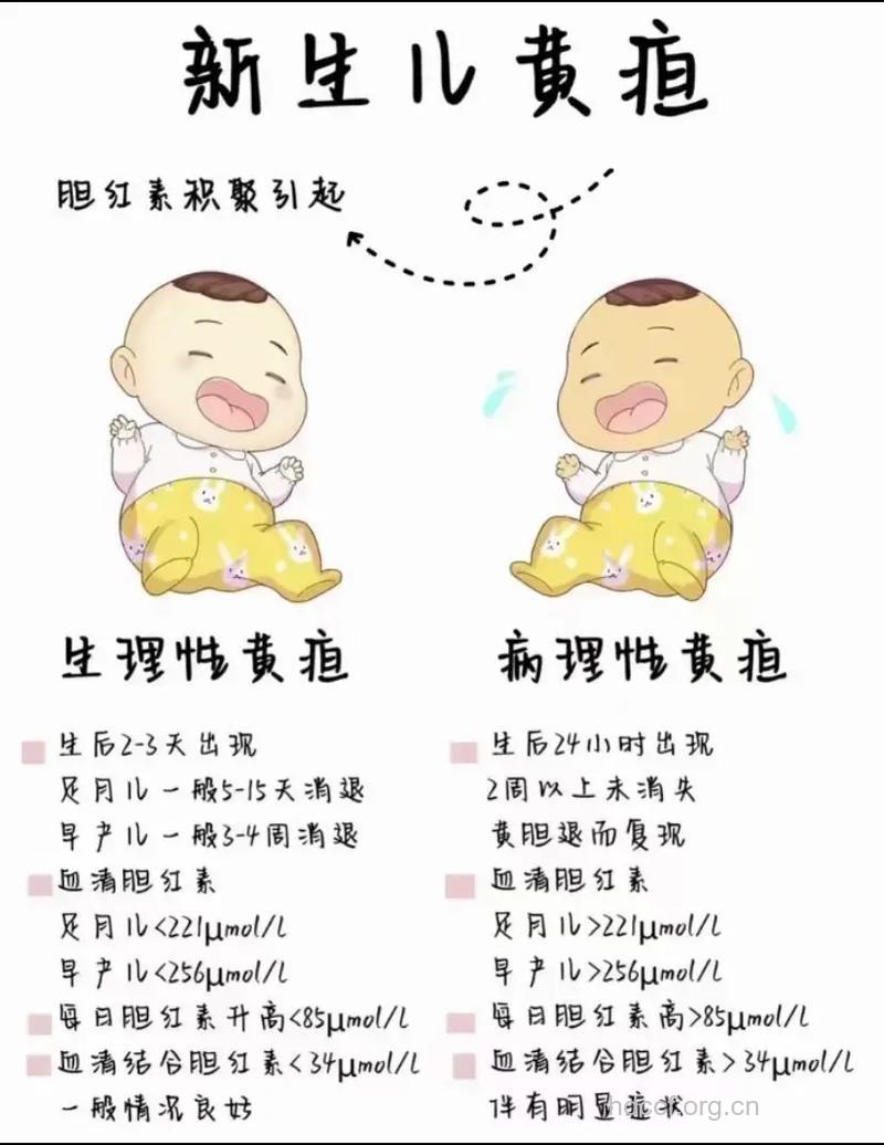 新生儿黄疸产生的原因？