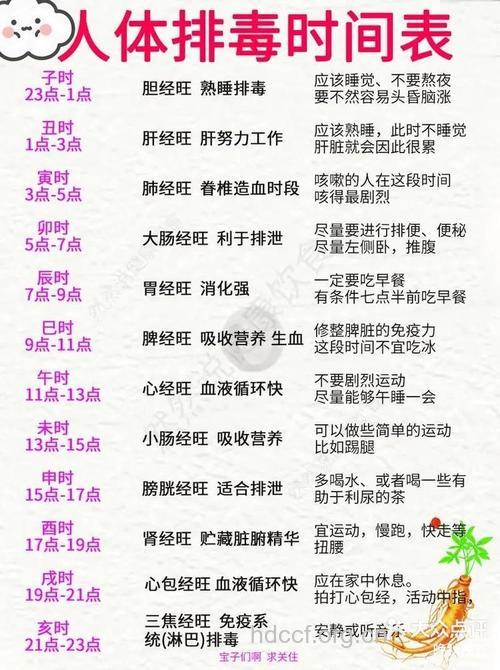 备孕须知:孕前排毒最佳时间