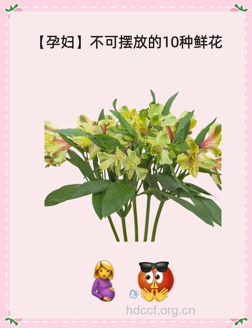 孕妇室内不宜摆放哪些植物