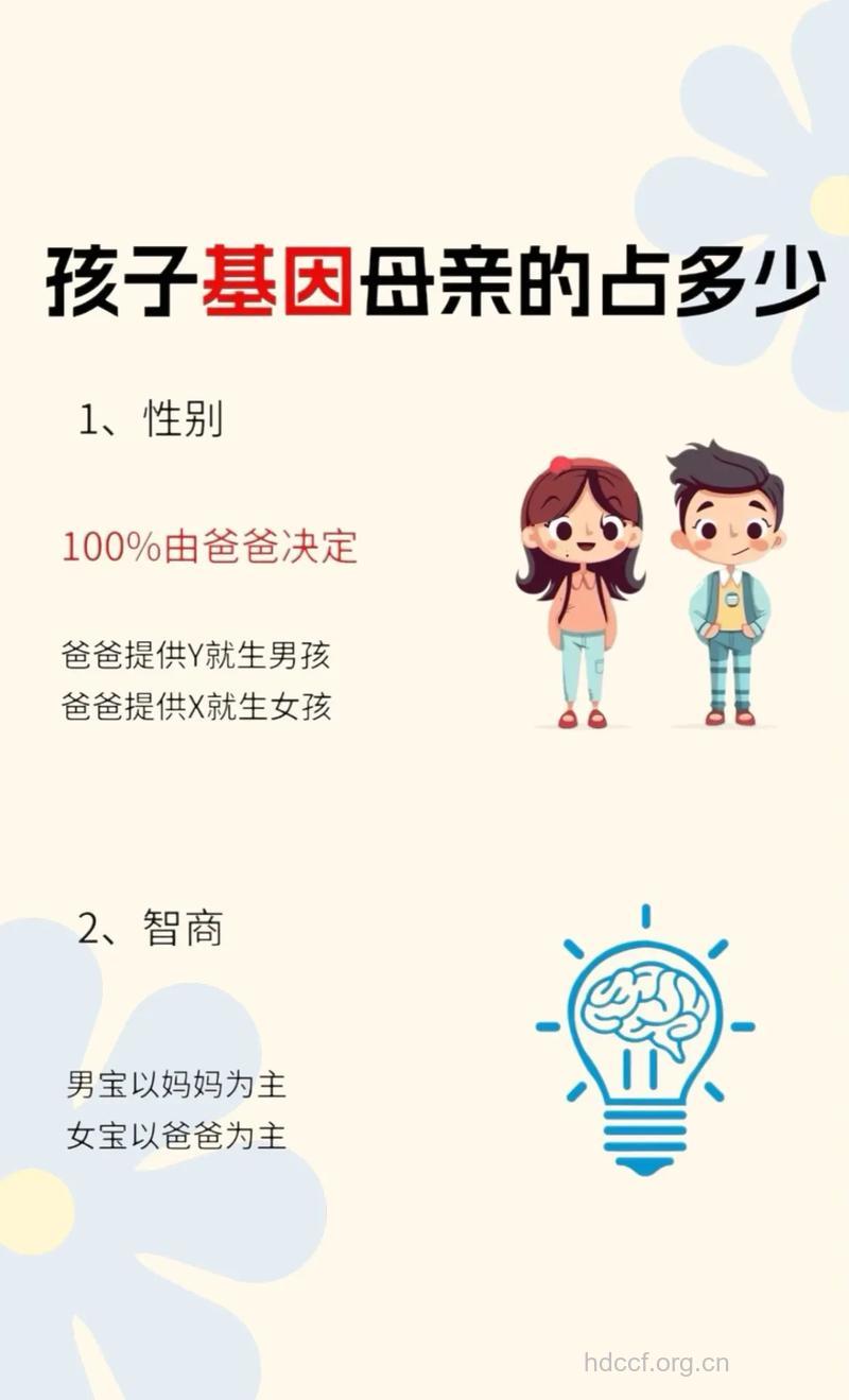 哪些相貌特征会遗传给孩子