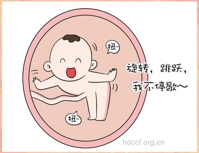 胎儿在子宫内是怎样活动的