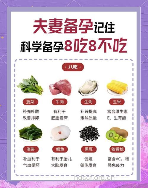 孕前饮食 备孕需要补充哪些营养