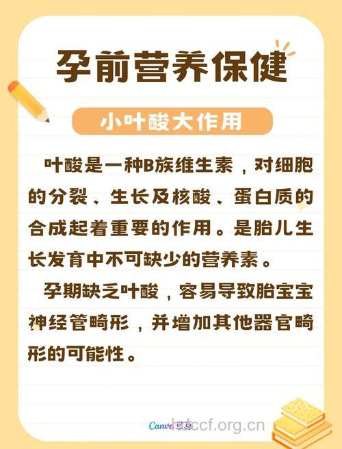 孕前补充叶酸怎样才合理？