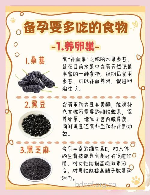 备孕期间吃什么提高卵子质量