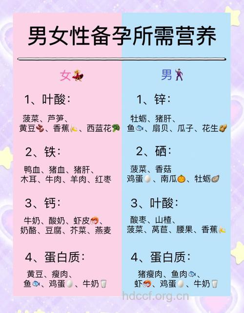 备孕妈妈的饮食指南