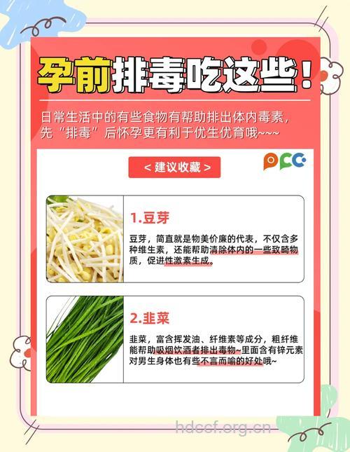 备孕期间食物排毒指南