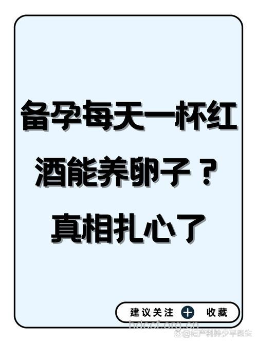 备孕期喝红酒能提高卵子活力吗