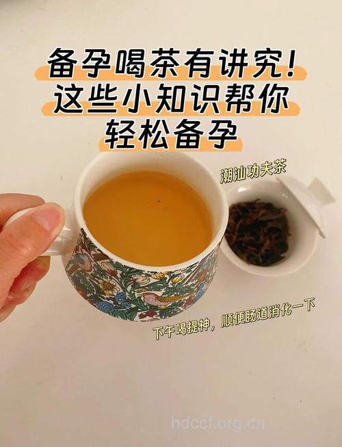 备孕期间可以喝茶吗