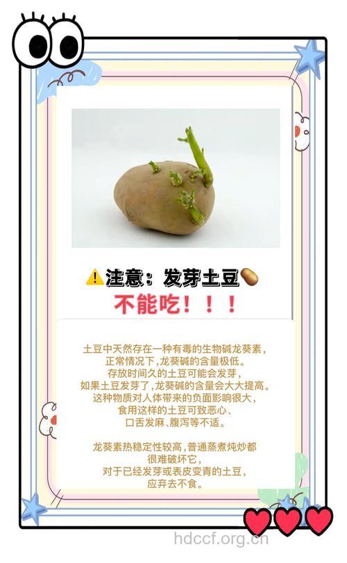 孕前几周多吃土豆易生男孩