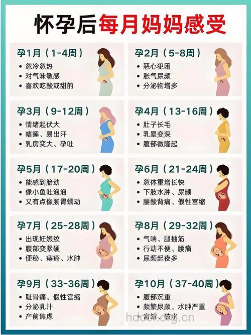 哪些女性比较容易怀孕 4种易孕类型介绍