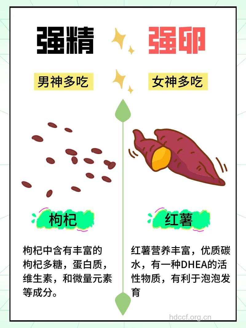 男人备孕也需要吃叶酸吗 这些东西吃起来