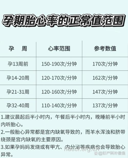 判断胎儿是否健康 正常胎儿心率是多少