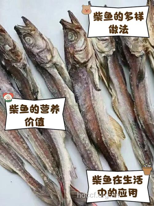 孕妇能吃柴鱼吗？