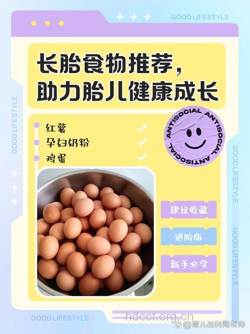 想要胎儿长的好 哪些食物要多吃