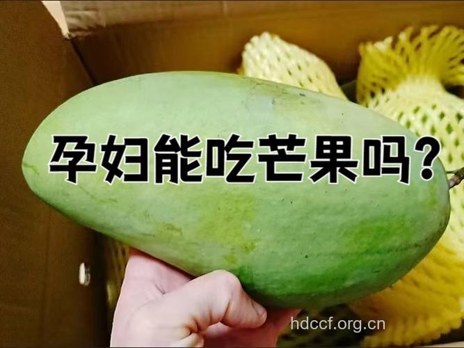 孕妇孕期绿色职业排行榜