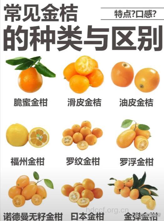 详解孕妇能吃桔子吗？