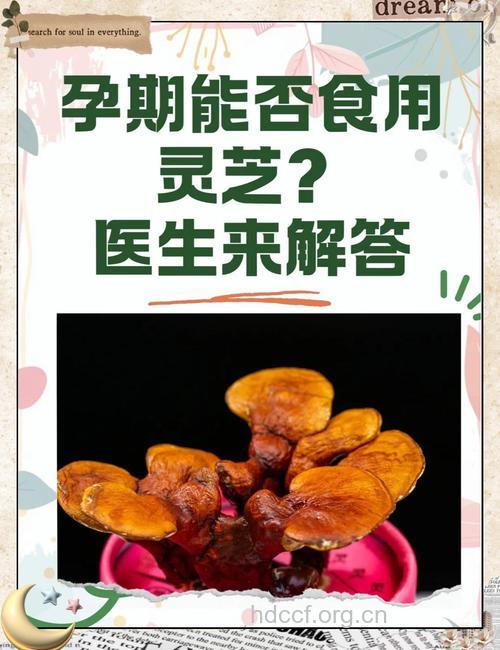 孕妇能吃灵芝吗？