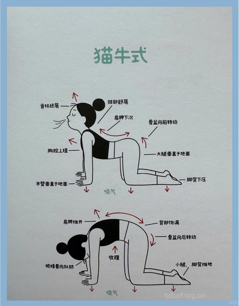 孕晚期锻炼有什么作用