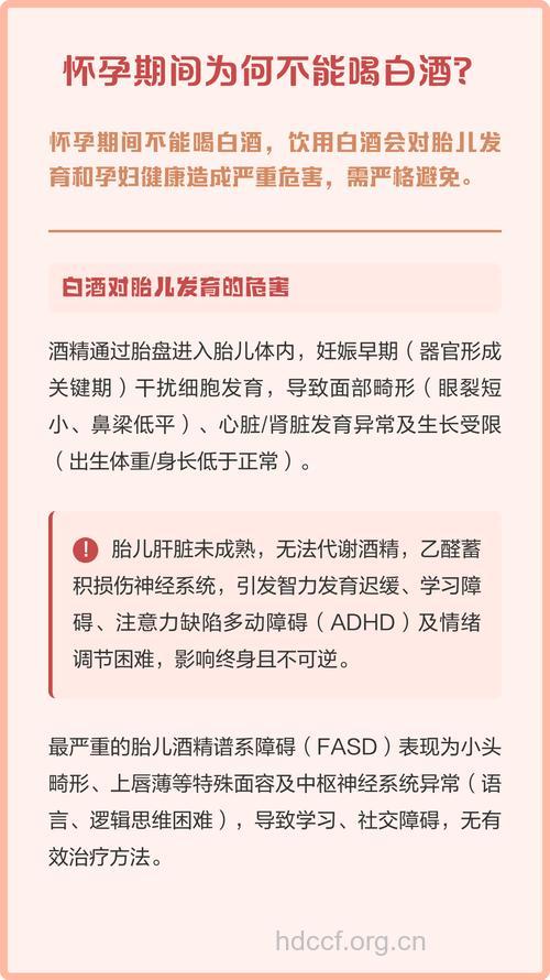 详解孕妇能喝白酒吗？
