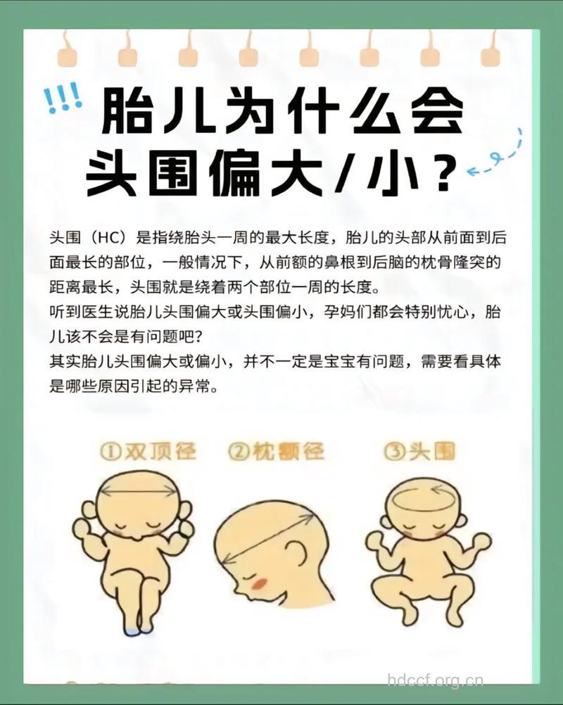 胎儿头围偏大是什么原因造成的